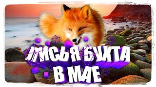 Лисья Бухта В Мае Пляж для Нудистов