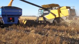 CLAAS Lexion 770 Terra Trac Unloading