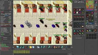Começando a Jogar Tibia de Paladin oque fazer?
