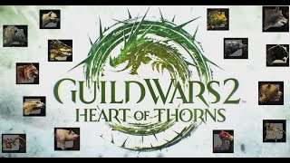 Guild Wars 2: Ranger Pets All 50 locations