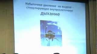 Иваненко И.Н. "Исцеляющий импульс" Голтиса