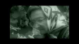Ioan Dordoi - Intr-un sat lang-o fantana - DVD - Intr-un sat lang-o fantana