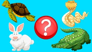 Учим Животных по Системе Монтессори - ТроЛЛикс Учимся и Играем - Развивающие Мультики для Детей