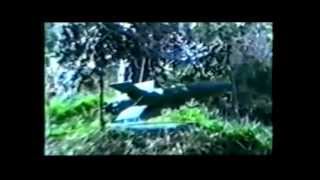 Mi Bošnjaci Dolazimo !!! - Bitno je biti Bošnjak !!!