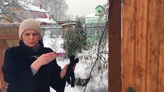 Как дешево оборгеть курятник