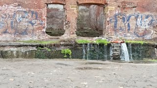 Американский бульдог/ драка с английским бульдогом вот такая прогулка / Парамоны