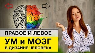 Левое и правое в Дизайн Человека. Что означают стрелки в карте?