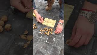 Грецкий орех в скорлупе. Высокое качество