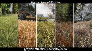 Skyrim SE - Grass Mods Comparison (Updated)