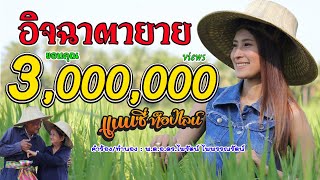 อิจฉาตายาย - แนนซี่ ท็อปไลน์ [Cover Version]