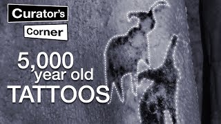 5,000-year-old tattoos I Curator's Corner season 3 episode 6