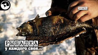 Хариус весом 1,5 кг. Кольский | ПЛАНЕТА РЫБАКА ©