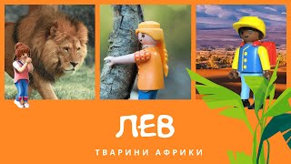 Лев | КоМарко