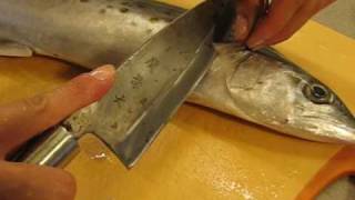 Misa's Japanese cooking : How to filet a fish (Spanish Mackerel) ~ NY1page.com