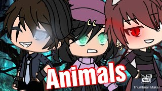 Animals glmv