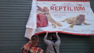 Не продавали красивое! Забрали сами! Немножко разбираем Рептилиум