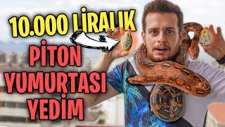 10.000TL YILAN YUMURTASI YEDİM!