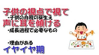 イヤイヤ期【私が意識したこと】