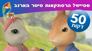 ספיישל הרפתקאות פיטר הארנב - פרקים ברצף - ערוץ הופ! לגדול בידיים טובות