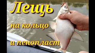 Рыбалка на реке Кубань с лодки.Ловим на скисшую прикормку.