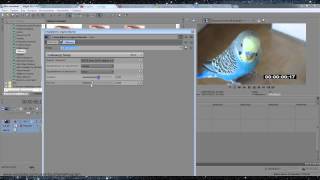Как вставить секундомер в программе Sony Vegas Pro 12.0. Izuchenie program.