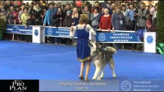 Евразия 2013 Ильина Полина "Кадриль"