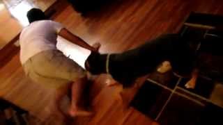 Pitbull humping Little fat kid