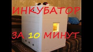 ИНКУБАТОР за 10 МИНУТ своими руками!!!