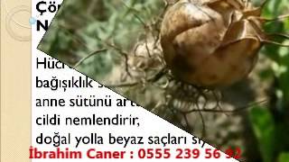 Çörek Otu Yağı Saça Nasıl Uygulanır, Çörek Otu Yağının Saça Faydaları