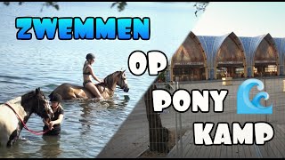 Paardrijden door TOMORROWLAND!! ?? || Aflv 5