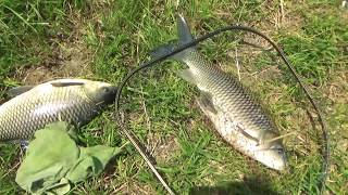 Highly Funny Fishing Videos By Fish Watching