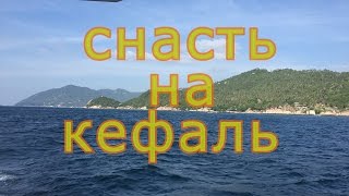 Снасть на кефаль  экспериментальная