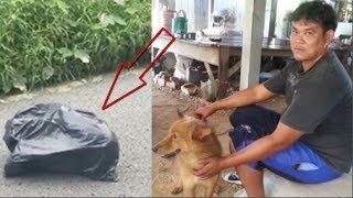 Chú chó tha túi đen về, kéo đến cửa liên tục sủa dữ dội, thấy lạ! Chủ nhân mở ngay chiếc túi ra...