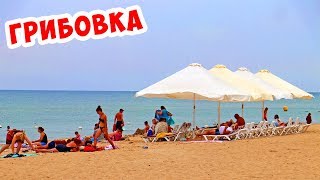 ГРИБОВКА - Сезон Подходит к Концу!