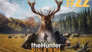 theHunter Call of the Wild прохождение. Часть 22 - Охота на самку зубра