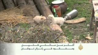 ارتفاع عدد قتلى ومصابي زلزال لوشان الصيني