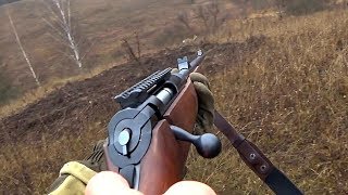 Охота на оленя и косулю / Загонная и по настоящему трудовая / От "А" до "Я" / "Охота и Оружие"