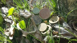 Коп с АКА Сигнум МФТ 7272М №4 Поиск на Пасху