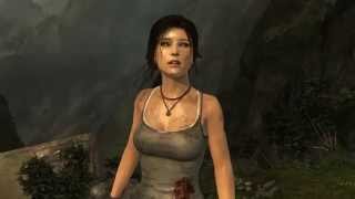 Tomb Raider - Benchmark (Ultra Settings) - AMD R9 280X