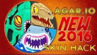 NEW HACK SKIN IN AGAR.IO ALL VETERAN SKINS [2017]!!!!!!!!!!!!!