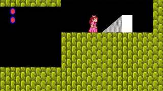 NES Super Mario Bros 2 TAS "princess only" in 9:07.3 by Genisto