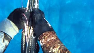 Chasse sous marine 2014: Liche amie décrochée...
