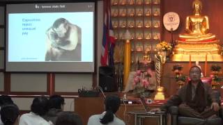13.เหี้ยเข้าตา!!!  (รองเท้าของโจร 13/13)
