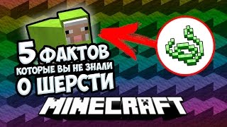 ?5 ФАКТОВ О ШЕРСТИ ? КОТОРЫЕ ВЫ НЕ ЗНАЛИ ? В МАЙНКРАФТЕ [Minecraft ФАКТЫ]