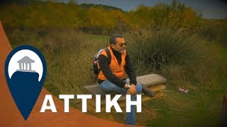 Αττική - Εκδρομή στη Βραυρώνα
