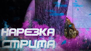 опа #DayZ 1.04 с матюками в реальных событиях телеканал спас