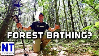 We all need to slow down and do some forest bathing