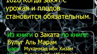 1628 Когда закят с урожая и плодов становится обязательным