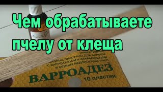 Чем обрабатываете пчелу на зиму
