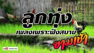 เพลงลูกทุ่งเพราะๆฟังสบายยามเช้า